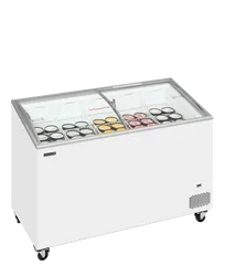 IC401SCEB