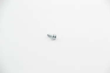 Oval Head Screw 5.5x19