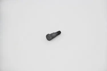 Shaft For Roller